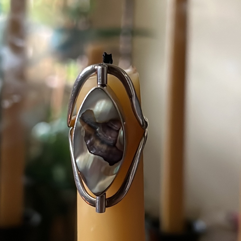 Reversible Turquoise Abalone Sterling Silver Ring